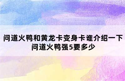 问道火鸭和黄龙卡变身卡谁介绍一下 问道火鸭强5要多少